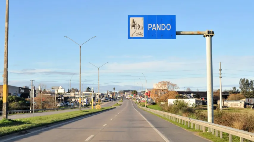 Pando